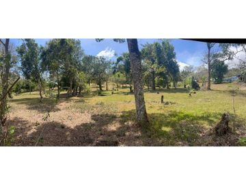 TERRENOS A LA VENTA LOS LLANITOS CAMINO AL VALLE DE ANTON