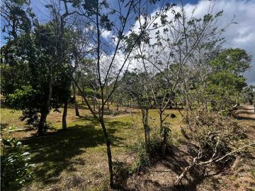 TERRENOS A LA VENTA LOS LLANITOS CAMINO AL VALLE DE ANTON