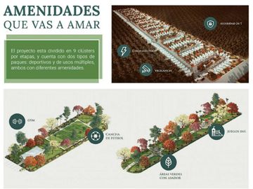 Res. Botánico, Modelo 186