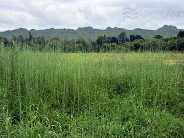 LOVELY SAI YOK PROPERTY WITH 75 METERS OF RIVERFRONT AND INCREDIBLE MOUNTAIN VIEWS!!!