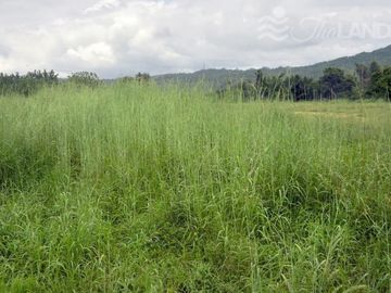LOVELY SAI YOK PROPERTY WITH 75 METERS OF RIVERFRONT AND INCREDIBLE MOUNTAIN VIEWS!!!