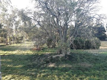 CAMPO 5 HA ARBOLEDAS AÑOSAS 2 PILETAS NATAC. COMPLEJO C/INSTALAC.