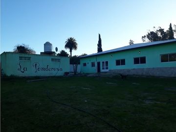 CAMPO 5 HA ARBOLEDAS AÑOSAS 2 PILETAS NATAC. COMPLEJO C/INSTALAC.