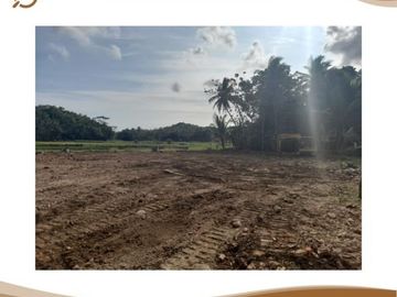 Tanah SHM: Utara Bandara YIA, Siap AJB