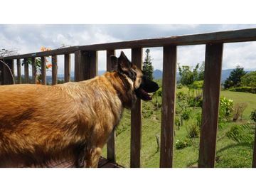 VENDO FINCA CON CASA CON PROYECCION TURISTICA - GUATAPE ANTIOQUIA