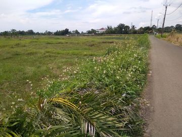 Tanah Kavling Area Wisata Gunung Halimun Salak