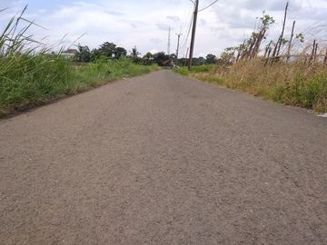 Tanah Kavling Area Wisata Gunung Halimun Salak