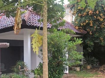tanah bonus kontrakan di sumur batu jakarta pusat lokasi strategis bebas banjir