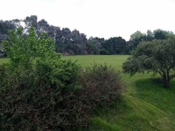 Campo en General Rodríguez