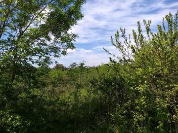 Campo en General Rodríguez