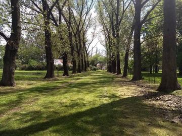 Campo en General Rodríguez