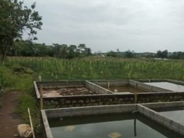 Dijual Tanah Pinggir Jalan di Bogor Lt 1,82 Hektar Shm 3 Juta/m&sup2; NEGO