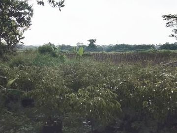 Dijual Tanah Pinggir Jalan di Bogor Lt 1,82 Hektar Shm 3 Juta/m&sup2; NEGO