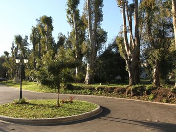 Lote en venta en Adropgué Chico