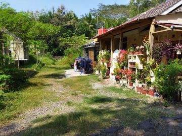 rumah minimalis panjatan wates dekat polsek panjatan