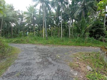 rumah minimalis panjatan wates dekat polsek panjatan