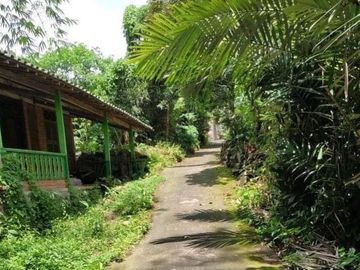 Tanah bonus rumah dekat BRI Turi Donokerto Sleman Yogyakarta