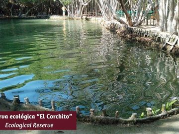 Condo con jardin, alberca privada y terraza, cerca del mar en pre-venta Yucatán