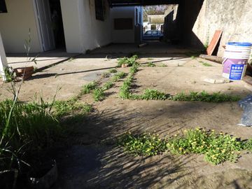 EXCELENTE PROPIEDAD DE 4 AMBIENTES CON ENTRADA DE AUTOS SOBRE LOTE DE 15X50