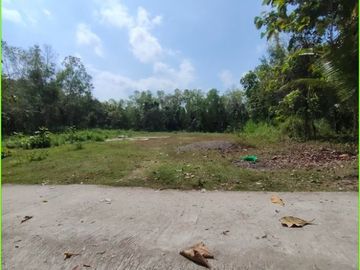 Dekat Pasar Sungapan, Tanah Kavling Murah di Sedayu Jogja
