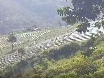 Dijual Tanah Eksotis Kawasan Puncak Di Cianjur