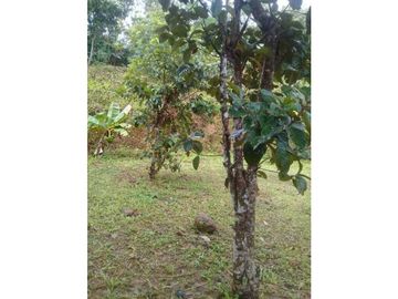 VENDO CASA DE CAMPO Y 900M2 EN EL NANCITO