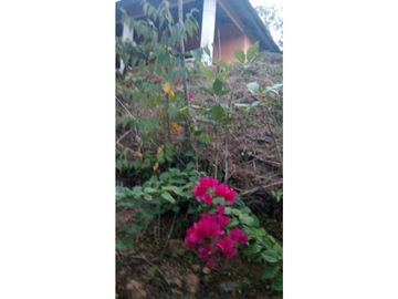 VENDO CASA DE CAMPO Y 900M2 EN EL NANCITO