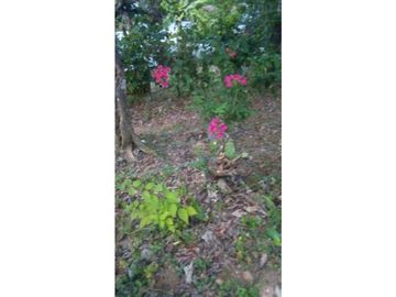 VENDO CASA DE CAMPO Y 900M2 EN EL NANCITO
