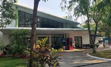 BARGAIN PRICE-Well Maintained Bungalow House for Sale in Alabang Hills- with pool