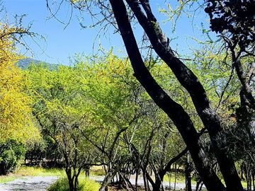 Parcela en Venta en 162.304 - Venta Parcela Ensenada de Aguila Sur -2 Hectáreas - Paine