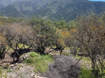 Parcela en Venta en 162.304 - Venta Parcela Ensenada de Aguila Sur -2 Hectáreas - Paine