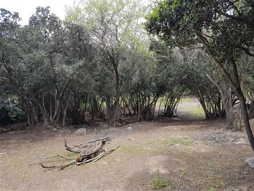 Parcela en Venta en 162.304 - Venta Parcela Ensenada de Aguila Sur -2 Hectáreas - Paine