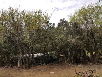 Parcela en Venta en 162.304 - Venta Parcela Ensenada de Aguila Sur -2 Hectáreas - Paine