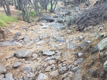 Parcela en Venta en 162.304 - Venta Parcela Ensenada de Aguila Sur -2 Hectáreas - Paine