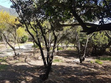 Parcela en Venta en 162.304 - Venta Parcela Ensenada de Aguila Sur -2 Hectáreas - Paine