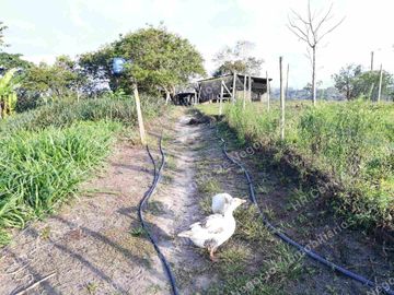 OPORTUNIDAD - VENDO FINCA GANADERA - MESA DE LOS SANTOS