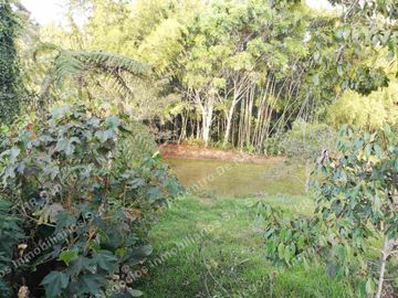 OPORTUNIDAD - VENDO FINCA GANADERA - MESA DE LOS SANTOS