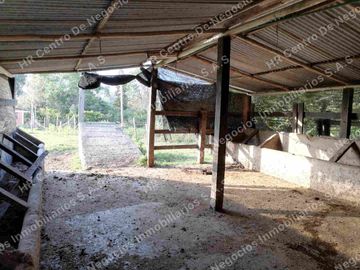 OPORTUNIDAD - VENDO FINCA GANADERA - MESA DE LOS SANTOS