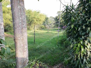 OPORTUNIDAD - VENDO FINCA GANADERA - MESA DE LOS SANTOS