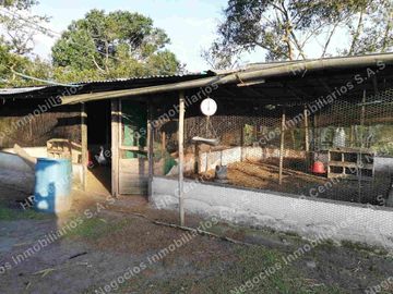 OPORTUNIDAD - VENDO FINCA GANADERA - MESA DE LOS SANTOS