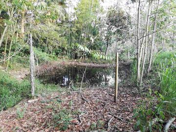OPORTUNIDAD - VENDO FINCA GANADERA - MESA DE LOS SANTOS