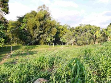 OPORTUNIDAD - VENDO FINCA GANADERA - MESA DE LOS SANTOS