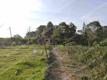 OPORTUNIDAD - VENDO FINCA GANADERA - MESA DE LOS SANTOS