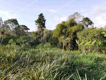 OPORTUNIDAD - VENDO FINCA GANADERA - MESA DE LOS SANTOS