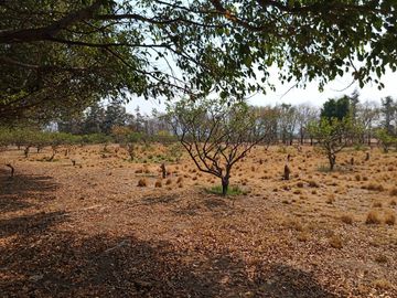 RANCHO, HACIENDA, VENTA, YECAPIXTLA, MORELOS