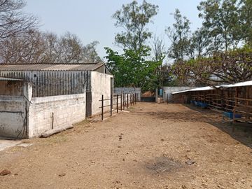RANCHO, HACIENDA, VENTA, YECAPIXTLA, MORELOS