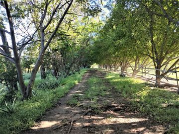 RANCHO, HACIENDA, VENTA, YECAPIXTLA, MORELOS