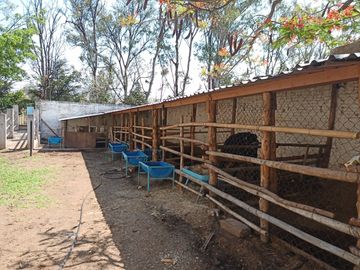 RANCHO, HACIENDA, VENTA, YECAPIXTLA, MORELOS