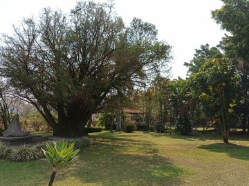 RANCHO, HACIENDA, VENTA, YECAPIXTLA, MORELOS