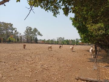 RANCHO, HACIENDA, VENTA, YECAPIXTLA, MORELOS